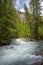 Rushing water in Avalanche Creek.