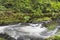 Rushing Water at Cedar Creek Washington State