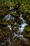 Rushing Water Filters Through Mossy Rocks