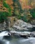 Rushing Water, Great Smoky Mountains