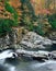 Rushing Water, Great Smoky Mountains