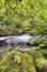 Rushing Water with Rocks at Cedar Creek Washington State