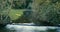 Rushing water in a stream, bordered by a serene green landscape. Kilbrittain Woods. zoom out