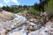 A rushing waterfall, Adams Falls, on a rocky mountain slope in the midst of a forest in Rocky Mountain National Park