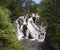 A Rushing Waterfall in a Green Forest