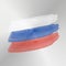 Rusian flag painting