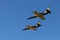 Russ aerobatic group