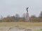 Russalka memorial, Kadriorg, Tallinn, view from the Baltic sea beach