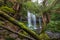 Russel Falls in lush rainforest. Mount Field National Park, Tasmania