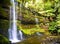 Russell Falls, Tasmania