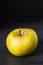 Russet apple on dark background