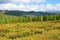 Russia, the Altai mountains, taiga under Aroy pass, plateau Yeshtykel