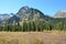 Russia, Altai mountains, valley of Multa river