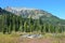 Russia, Altai mountains, valley of Multa river