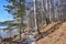 Russia, Chelyabinsk region. Birches and aspens along the banks of lake Uvildy on Vyazovyy island in clear weather in autumn