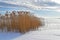 Russia, Chelyabinsk region. Nature monument - lake Uvildy in winter innfrosty day