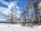 Russia, Chelyabinsk region. Small island on lake Uvildy in winter cloudy day