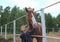 Russia, a child boy stroking horses on a farm children and animals