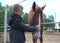 Russia,  a child boy stroking horses on a farm children and animals