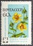 RUSSIA - CIRCA 1960: stamp printed in USSR CCCP, soviet union shows image of hypericum ascyron great st. johnswort from