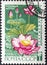 RUSSIA - CIRCA 1966: Postage stamp issued in the Soviet Union with the image of the Pink Lotus, Nelumbo nucifera, circa 1966