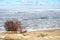 Russia. Coastline in winter on the Kurshskaya kosa