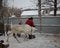 Russia,  a female cattle breeder on a farm feeds reindeer animals in winter