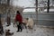 Russia,  a female cattle breeder on a farm feeds reindeer animals in winter