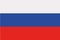 Russia flag vector