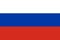 Russia flag vector