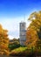 Russia,Gatchina, bright autumn tree in park near a palace in a sunny day