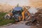 Russia, Kaluga - OCTOBER 27, 2020: Tractor breaking the old asphalt with a bucket before the construction