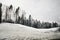 Russia. Karelian forests in winter. Trees in the snow.