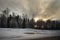 Russia. Karelian forests in winter. Trees in the snow.