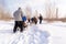 Russia. Kazan. 14 Feb. Dog sled team of siberian huskies out mushing on snow pulling a sled that is out of frame through a winter