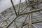 Russia. Khabarovsk: View of the Ferris wheel