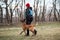 Russia, Krasnodar 31.01.2021 training of working dogs at the stadium. Belgian shepherd Malinois trains in walking nearby and