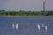 Russia. Kronstadt. June 6, 2021. Sailing regatta during the Kronstadt Sail Festival near Fort Konstantin.