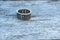 Russia, Leningrad region, May 2021. Silver ring with an Orthodox prayer and a cross.