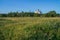 Russia. Meadows with views of the Cathedral of the Resurrection