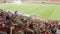 Russia, Moscow - 15 July 2018: Rear view of the tribune full of football fans hugging the shoulders of each other, FIFA