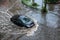 Russia. Moscow July 28, 2018. Flooding after heavy rains in the city crossroads. Flooded city road with large puddle of