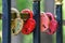 Russia, Moscow region, Ramenskoye May 10, 2019. Closed locks on the fence of the bridge.