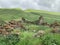 Russia, North Ossetia. Ruins of abandoned Ossetian villages in the Zrygskoye Gorge