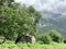 Russia, North Ossetia. Tsey gorge, memorial stone near the road to the  glacier `fairy Tale` in summer