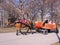 Russia, Novosibirsk, March 2, 2014: a horse carries a walking cart with children in the Park rides visitors in the carriage rental