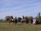 Russia Novosibirsk September 14, 2013 Novosibirsk Hippodrome Competition horses in show jumping and eventing riders have to jump