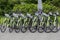 Russia Saint Petersburg 06.08.2020 year Bicycle rental eight green bicycles