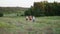 Russia, Saratov region - august, 2018: trailrunning. three male athletes run across the field on a summer evening at