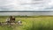 Russia, Siberia 2014: Tourists near the fire, the river behind.